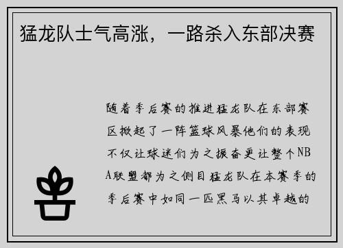 猛龙队士气高涨，一路杀入东部决赛